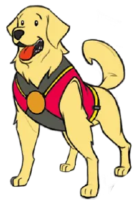 Pronto the One Hour Dog